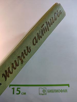 Жизнь актрисы