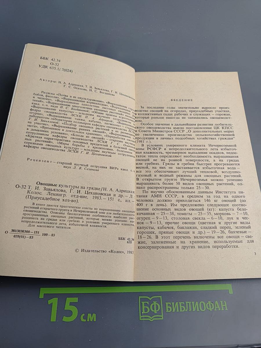 Овощные культуры на грядке