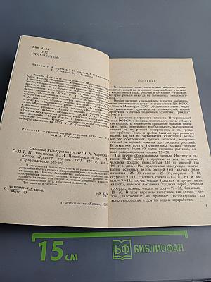 Овощные культуры на грядке