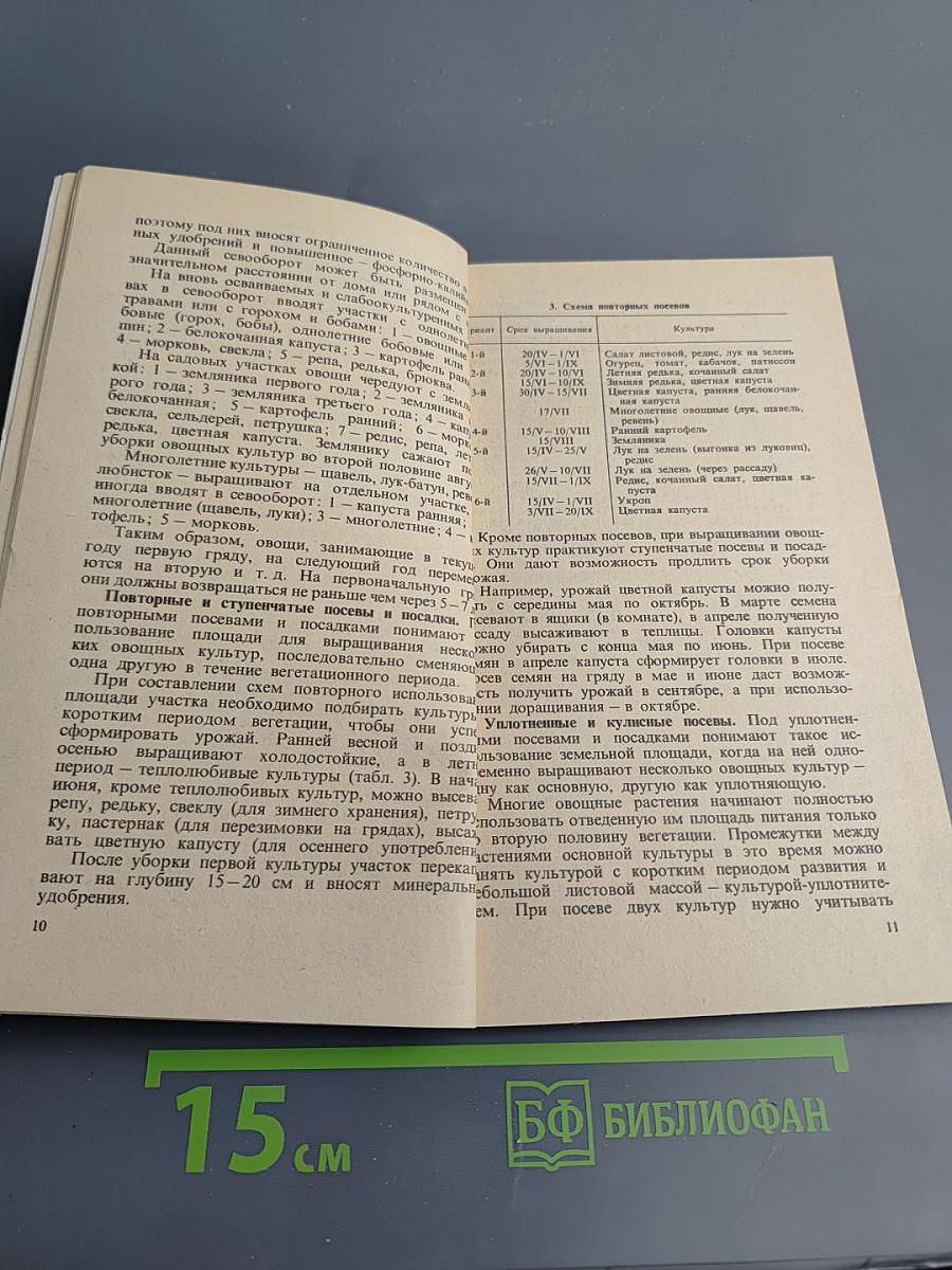 Овощные культуры на грядке