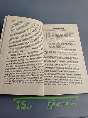 Овощные культуры на грядке