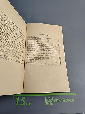 Овощные культуры на грядке