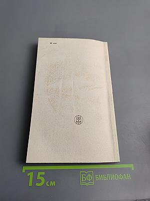 Овощные культуры на грядке