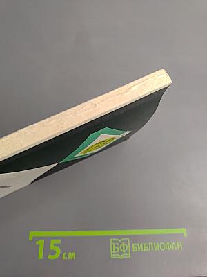 Овощные культуры на грядке