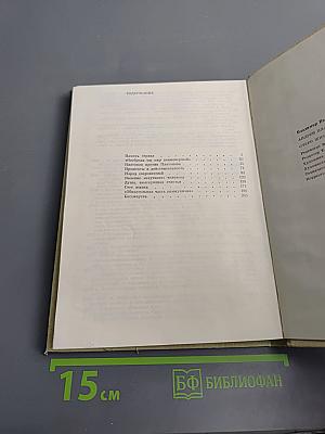 Андрей Платонов. Очерк жизни и творчества