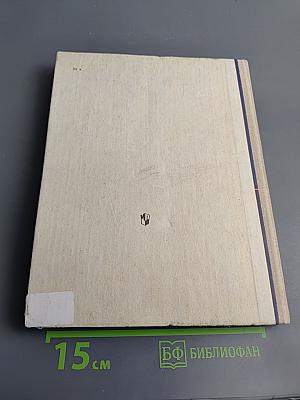 Машинопись и основы современного делопроизводства для 9-10 классов