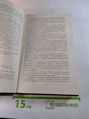 ...К нам едет ревизор