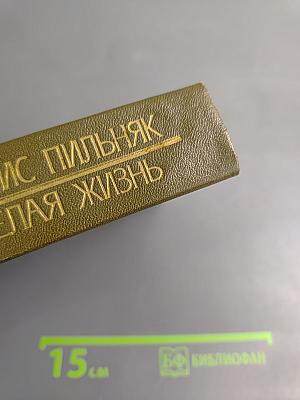 Целая жизнь