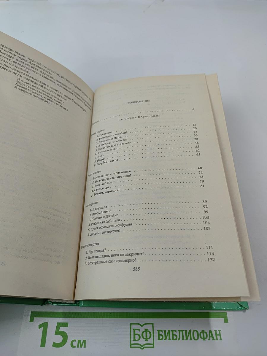 Россия молодая. Книга 1