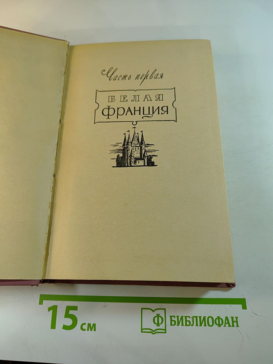 Черный консул