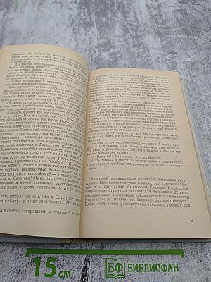 История четырех братьев; Годы сомнений и страстей