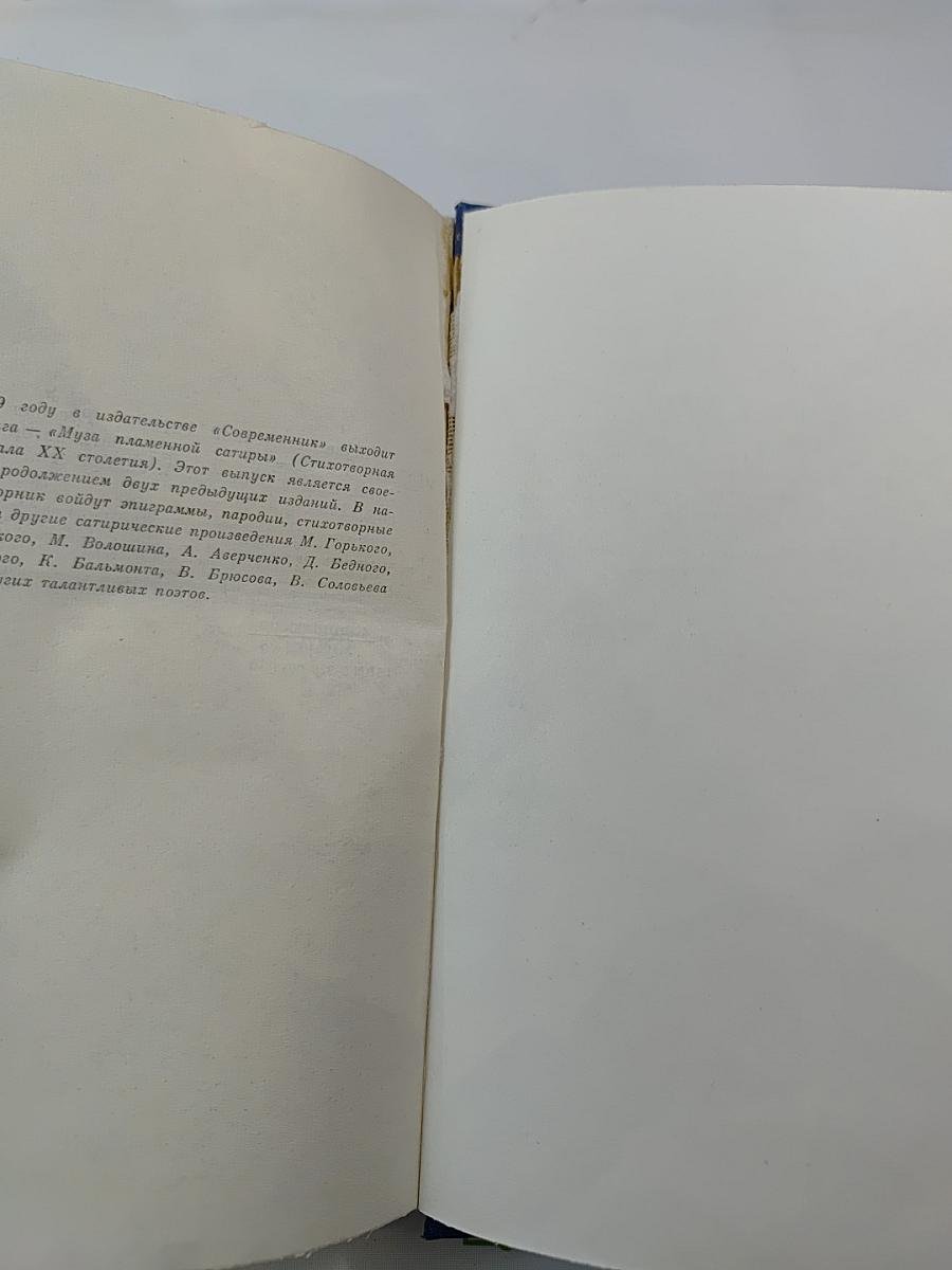 Муза пламенной сатиры: Русская стихотворная сатира 1830-1870-х годов