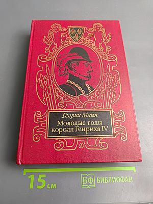 Молодые годы короля Генриха IV