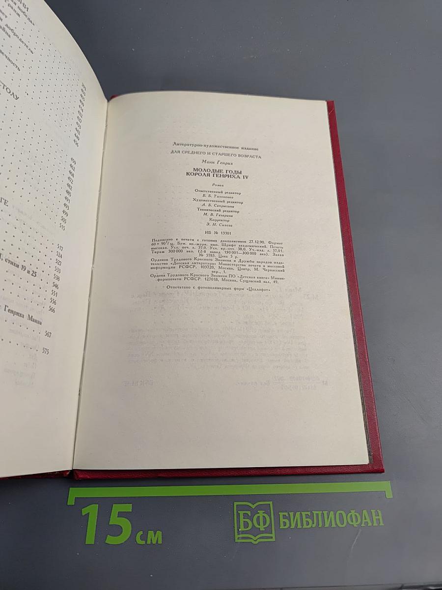 Молодые годы короля Генриха IV