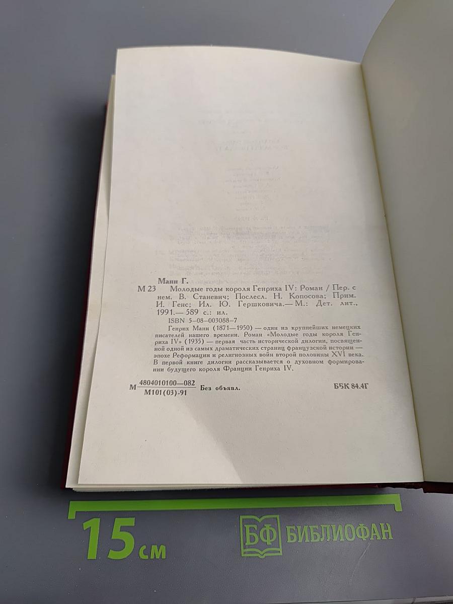 Молодые годы короля Генриха IV