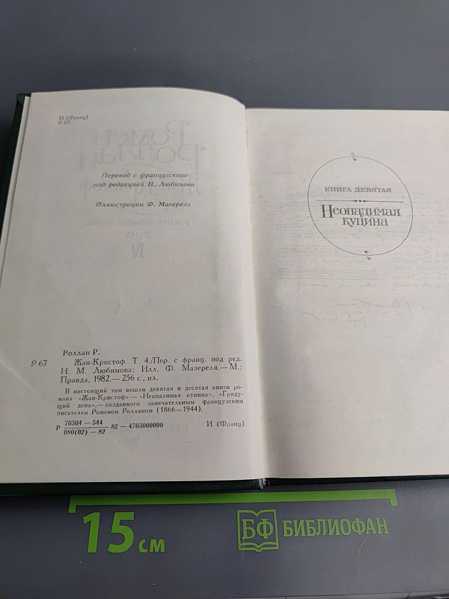 Жан-Кристоф. Том IV