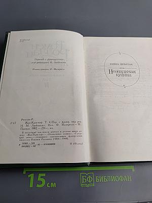 Жан-Кристоф. Том IV