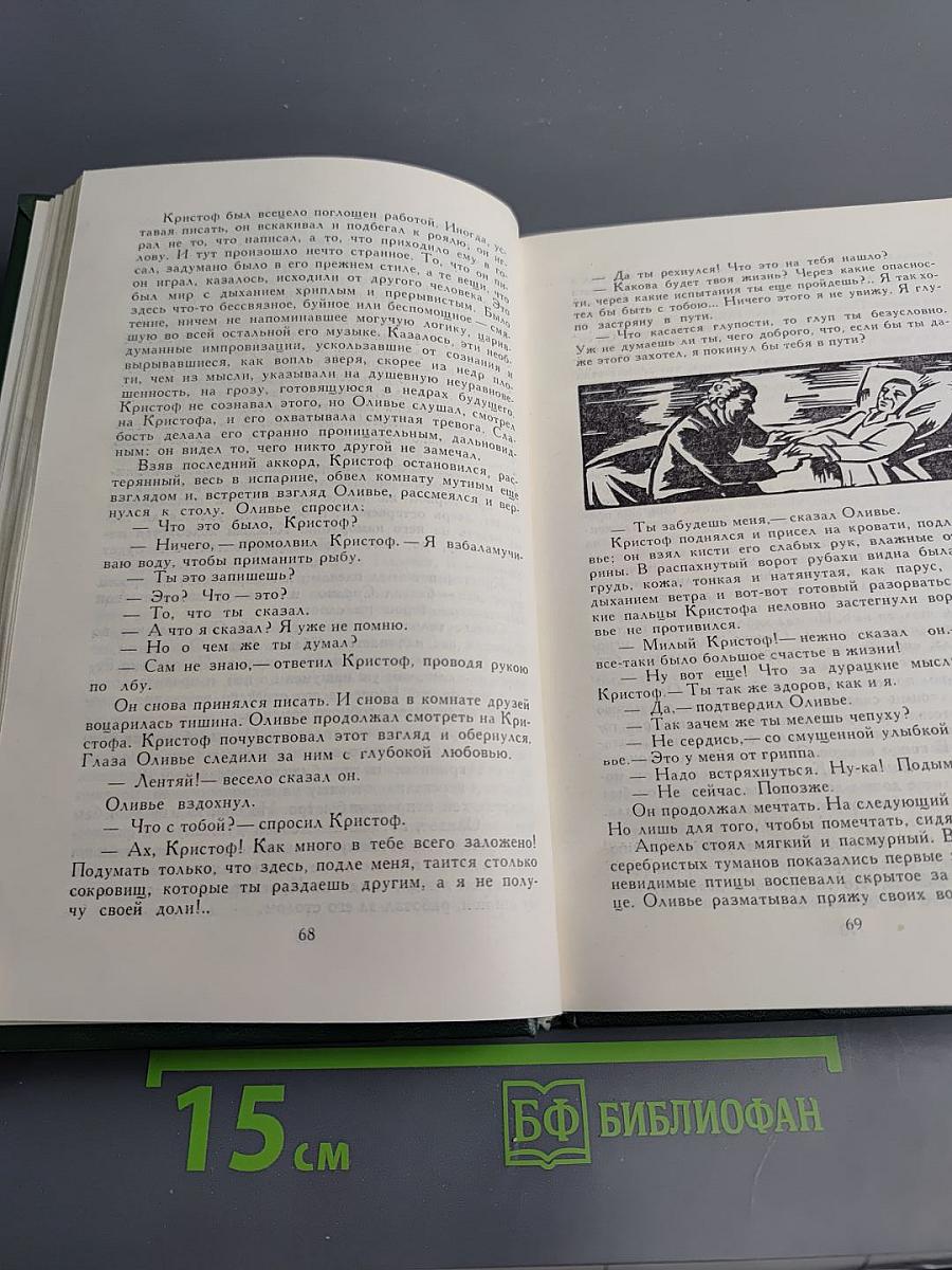 Жан-Кристоф. Том IV