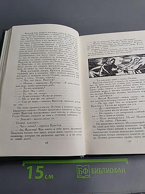 Жан-Кристоф. Том IV