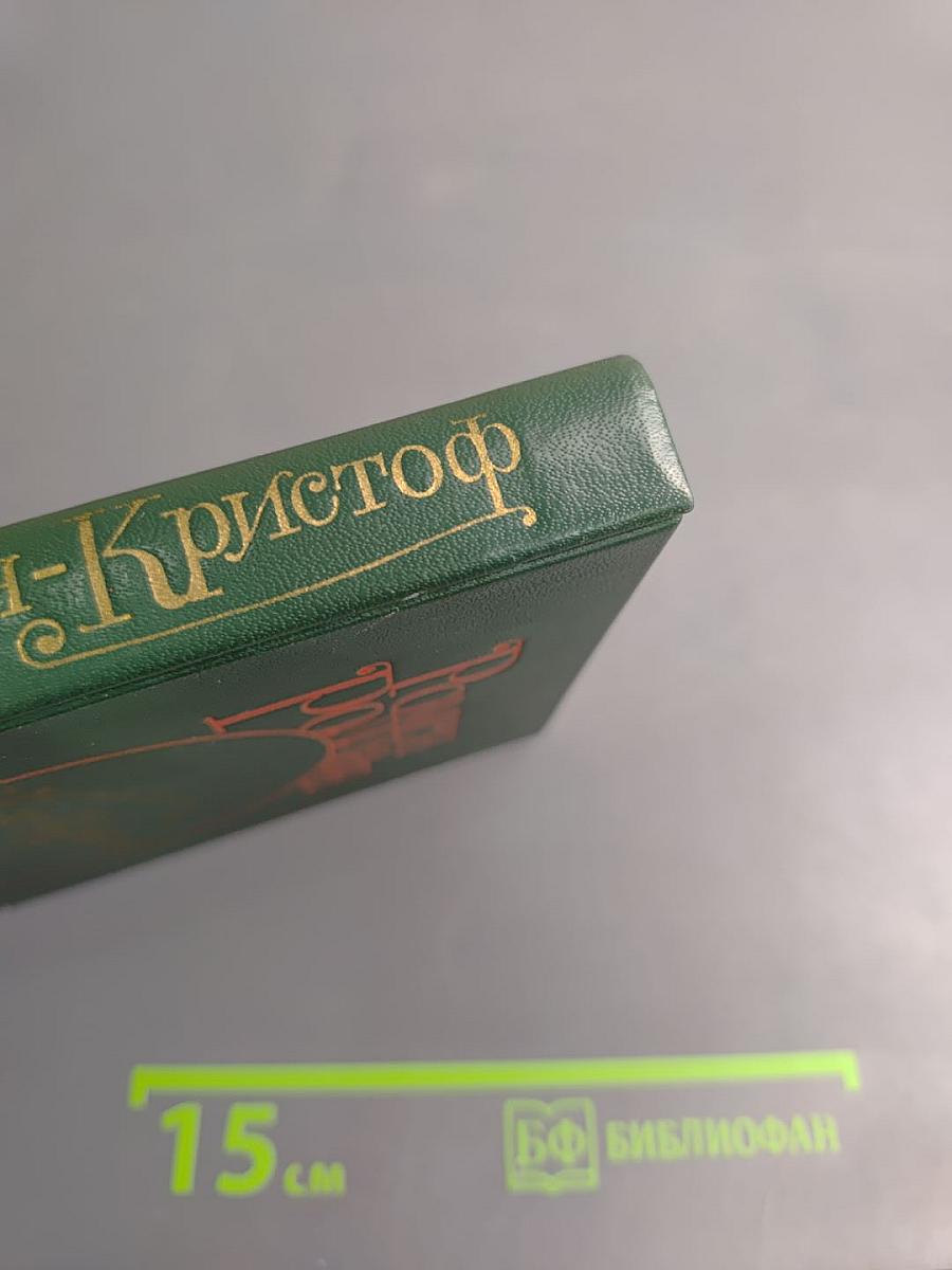 Жан-Кристоф. Том IV