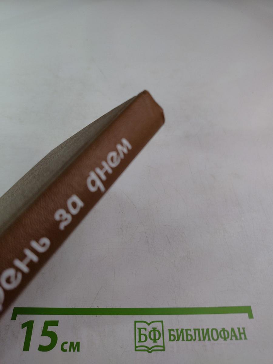 День за днем. Лирический дневник критика