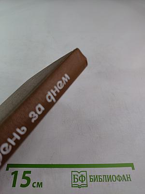 День за днем. Лирический дневник критика