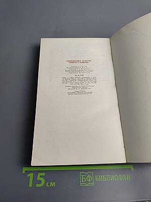 Средневековые арабские повести и новеллы