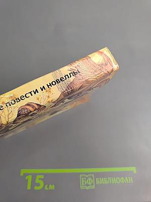 Средневековые арабские повести и новеллы