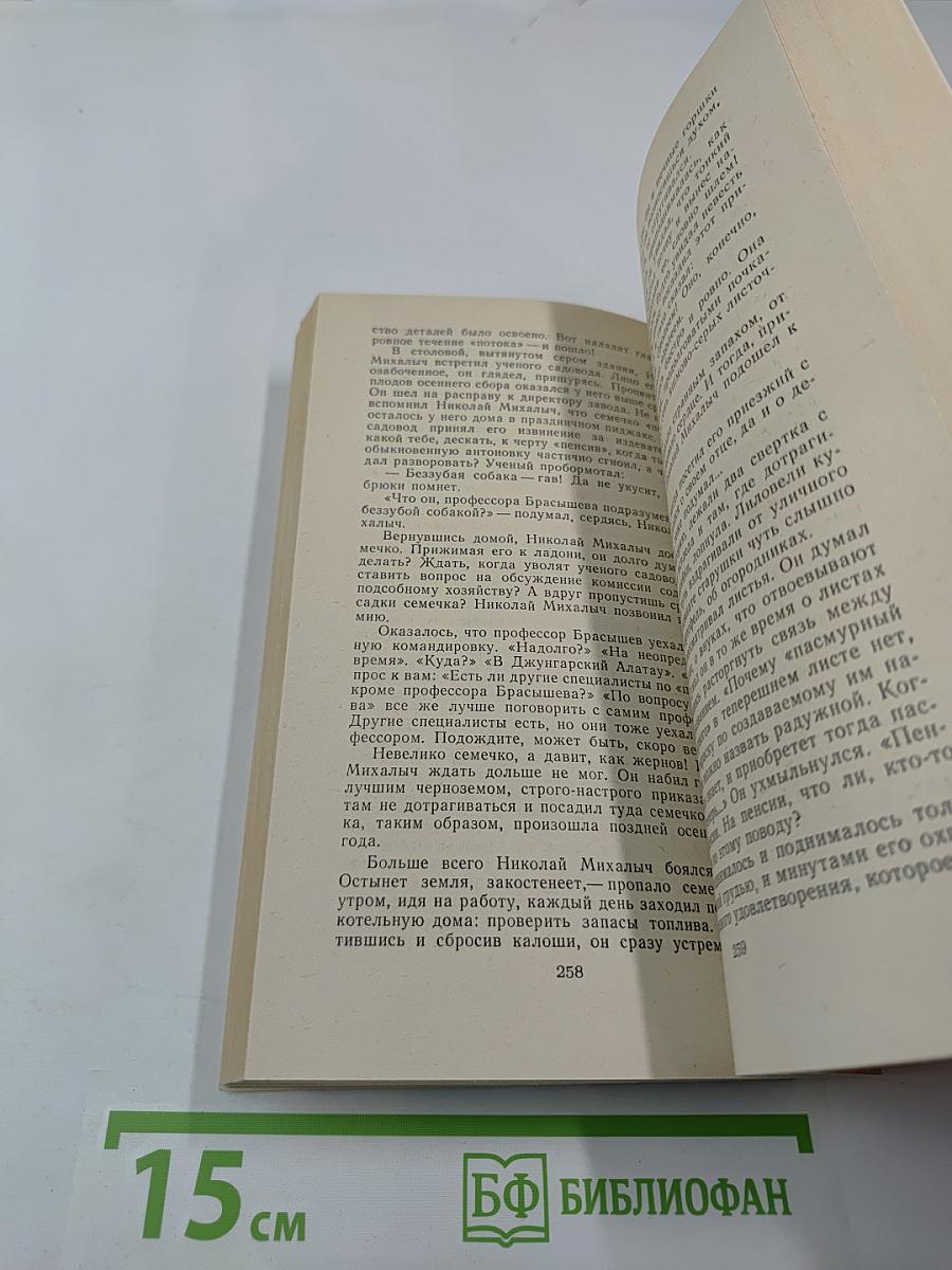 Пасмурный лист