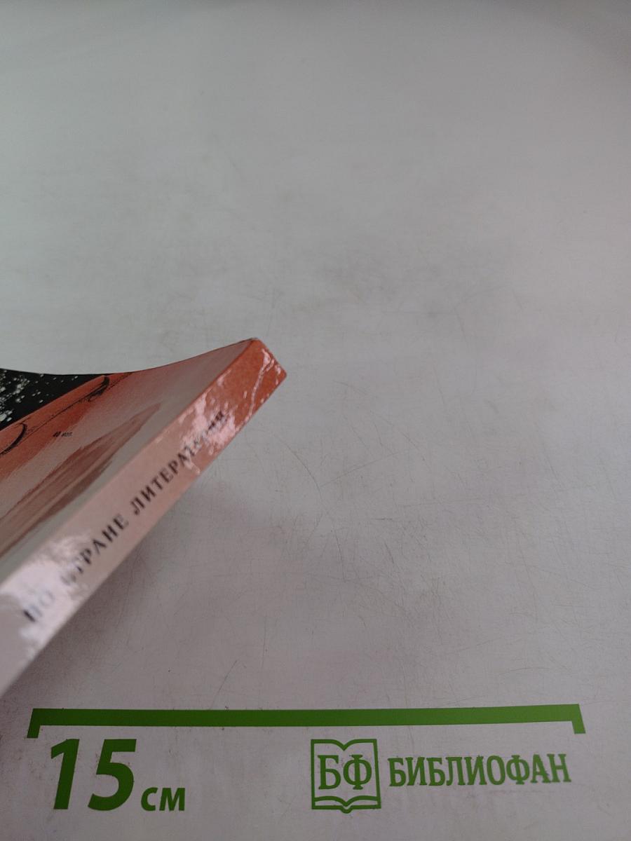 По стране литературы