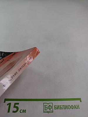 По стране литературы