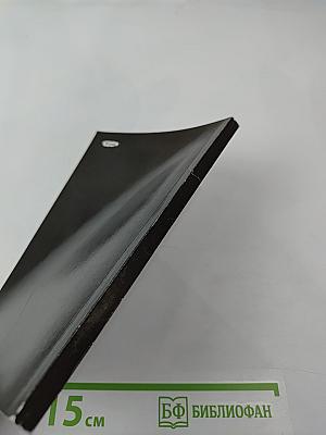 Своевременные мысли, или Пророки в своем отечестве