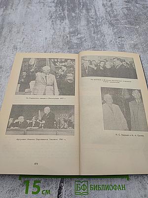 Свет и тени «великого десятилетия»: Н.С. Хрущев и его время