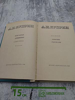Избранные сочинения. Том 2. Романы. Рассказы