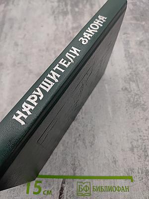 Нарушители закона