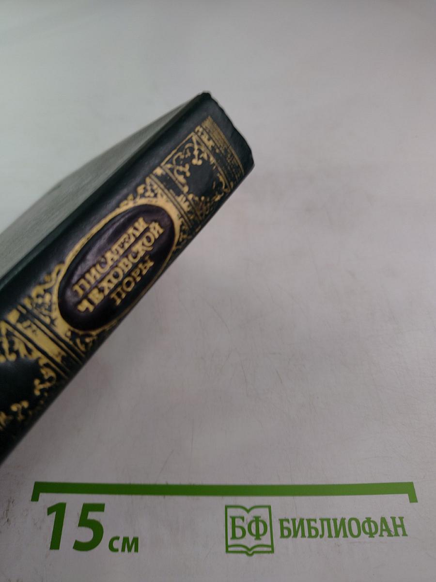 Писатели чеховской поры. Том второй