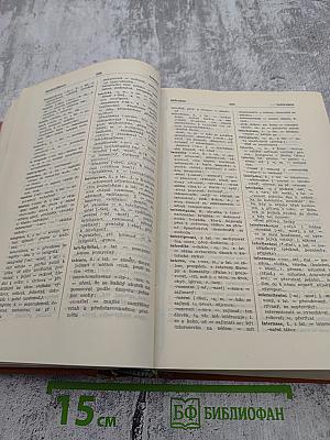 Словарь чешского языка