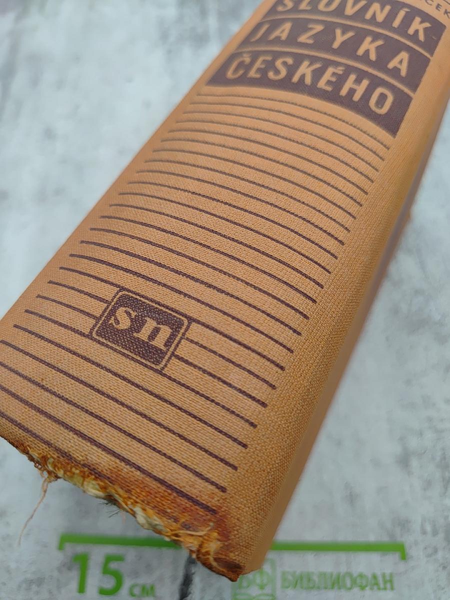 Словарь чешского языка