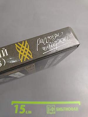 Старые годы: Рассказы и очерки