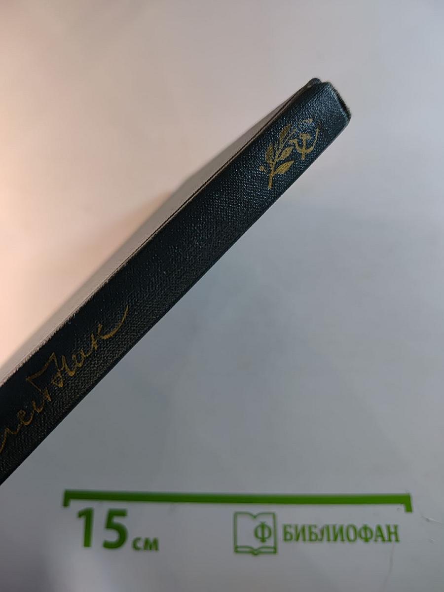 Борис Олейник. Стою на земле