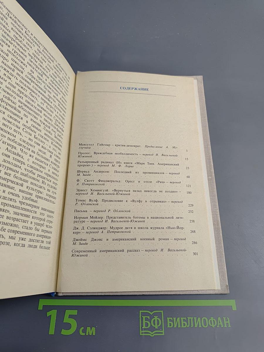 Американские современники