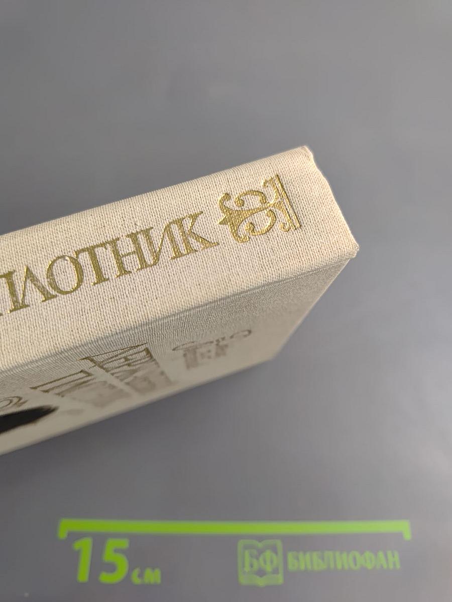 Державный плотник: Роман и повести