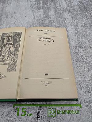 Большие надежды