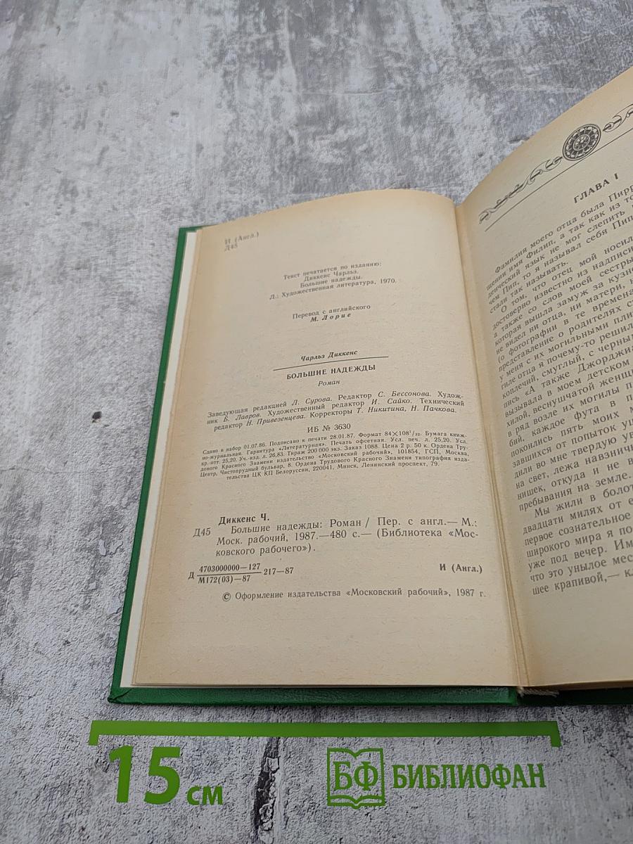 Большие надежды