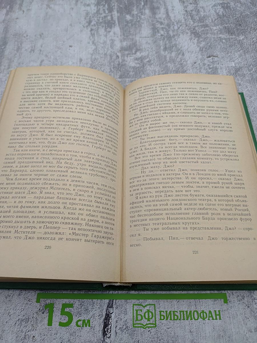 Большие надежды