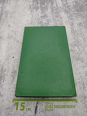 Большие надежды