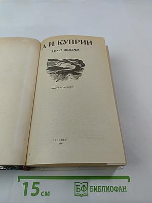 Река жизни: Повести и рассказы
