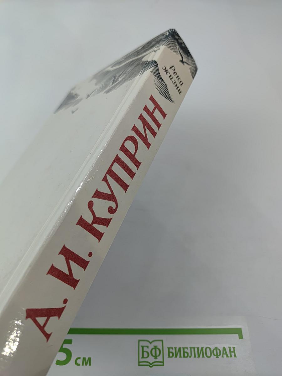 Река жизни: Повести и рассказы