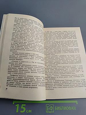 Праотцы наши и старшие