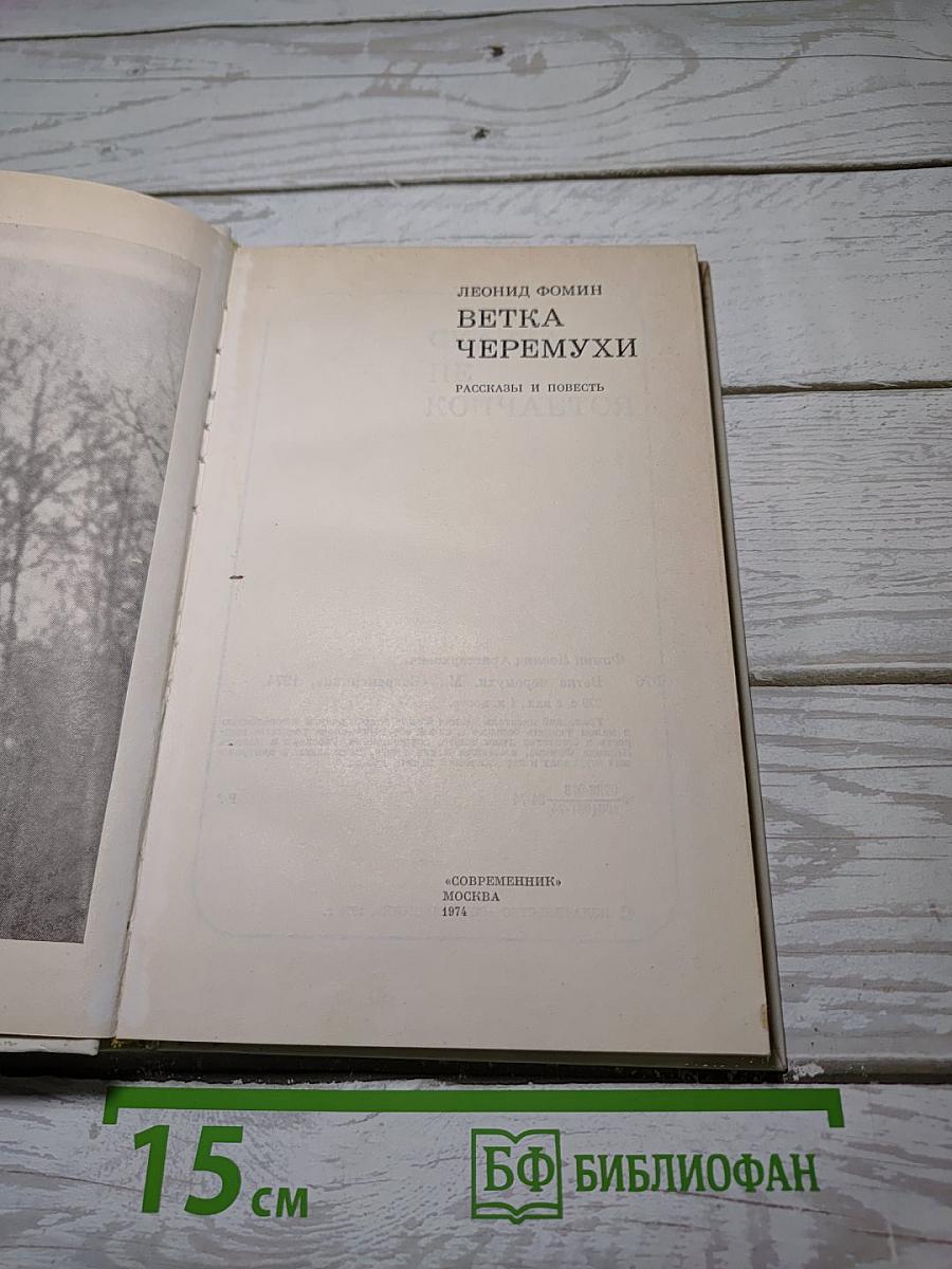Ветка черемухи
